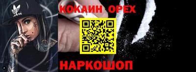 гидра Заводоуковск
