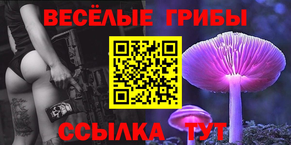 Псилоцибиновые грибы GOLDEN TEACHER Гусев